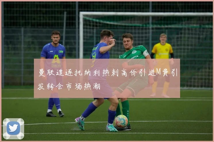 曼联追逐托纳利热刺高价引进M费引发转会市场热潮
