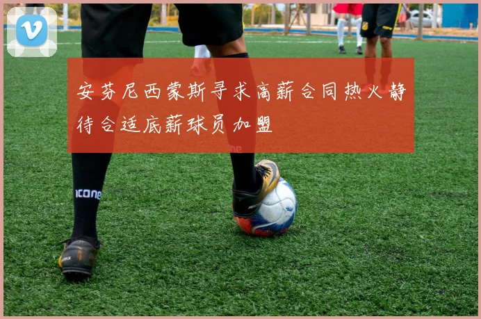 安芬尼西蒙斯寻求高薪合同热火静待合适底薪球员加盟
